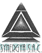 SYNERGYA S.A.C.