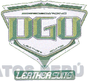 DGO LEATHER SUITS SPEEDBOARDING LEATHER SUITS