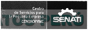 SENATI CENTRO DE SERVICIOS PARA LA PEQUEÑA EMPRESA CENTROPYME