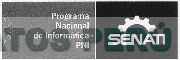 SENATI PROGRAMA NACIONAL DE INFORMÁTICA PNI