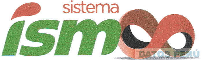 SISTEMA ISM