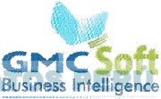 GMC SOFT BUSINESS INTELLIGENCE