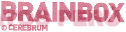 BRAINBOX CEREBRUM