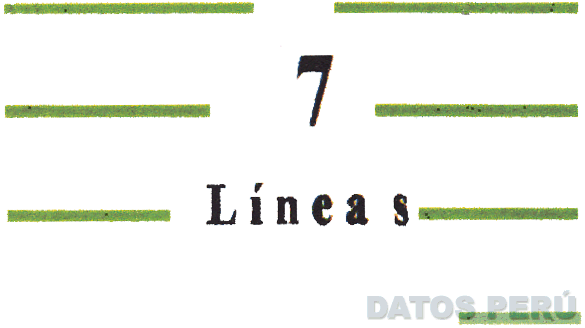 7 LÍNEAS