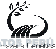 HAZERA GENETICS