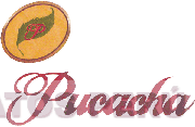 P PUCACHA