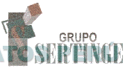 S GRUPO SERTINGE