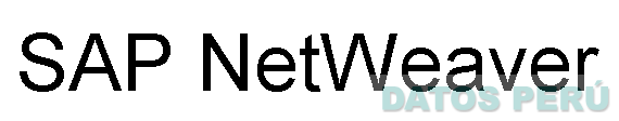 SAP NETWEAVER
