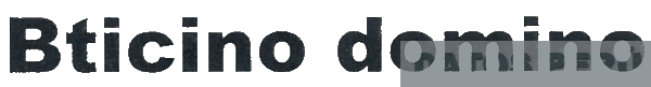 BTICINO DOMINO