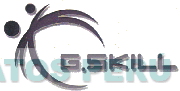 G.SKILL