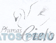 PLUMAS CIELO