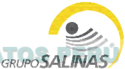 GRUPO SALINAS