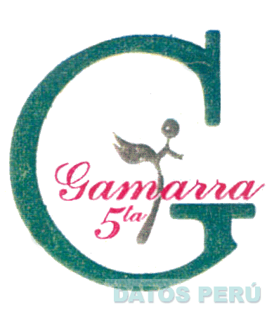 GALERIA 5TA GAMARRA