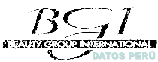 BGI BEAUTY GROUP INTERNATIONAL