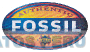 AUTHENTIC FOSSIL