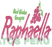 RAPHAELLA RED GLOBE GRAPES