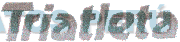 TRIATLETA