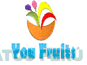 YOU FRUITS