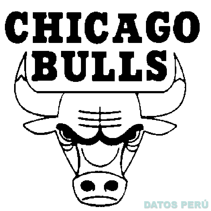 CHICAGO BULLS