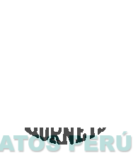 CHARLOTTE HORNETS