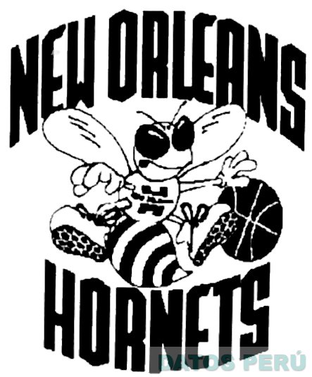 NEW ORLEANS HORNETS