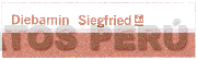 DIEBAMIN SIEGFRIED