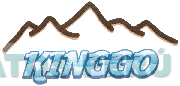 KINGGO