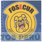 FOSECUR AGENTES DE SEGURIDAD