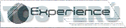 EXPERIENCE