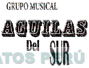GRUPO MUSICAL AGUILAS DEL SUR