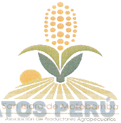 SAN ISIDRO DE MOLLEBAMBA ASOCIACIÓN DE PRODUCTORES AGROPECUARIOS