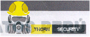 THORN SECURITY