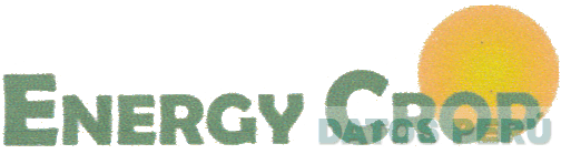 ENERGY CROP