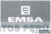 E EMSA GRUPO PMP
