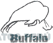BUFFALO