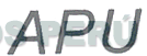 APU
