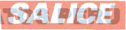 SALICE