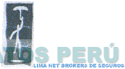 LIMA NET BROKERS DE SEGUROS
