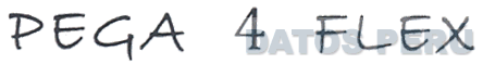 PEGA 4 FLEX