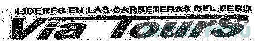 VIA TOURS LIDERES EN LAS CARRETERAS DEL PERÚ