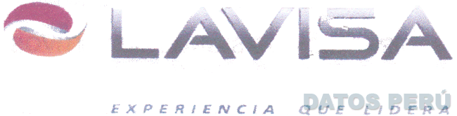 LAVISA EXPERIENCIA QUE LIDERA