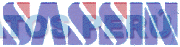 SASSIN