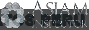 ASIAM INSPECTOR
