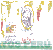 ELEPHANT SILVER UVA FRESH EXPORTED BY: BORRERO PERÚ EIRL EXPORTADORA