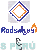 RSG RODSALGAS