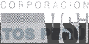 CORPORACION VSI