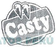 CASTY