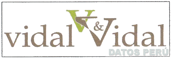 V VIDAL & VIDAL