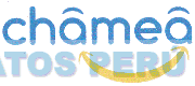 CHAMEA