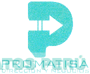 P PROMATISA DIRECCIÓN Y NEGOCIOS